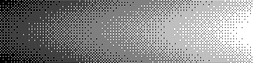 Bayer 64x64